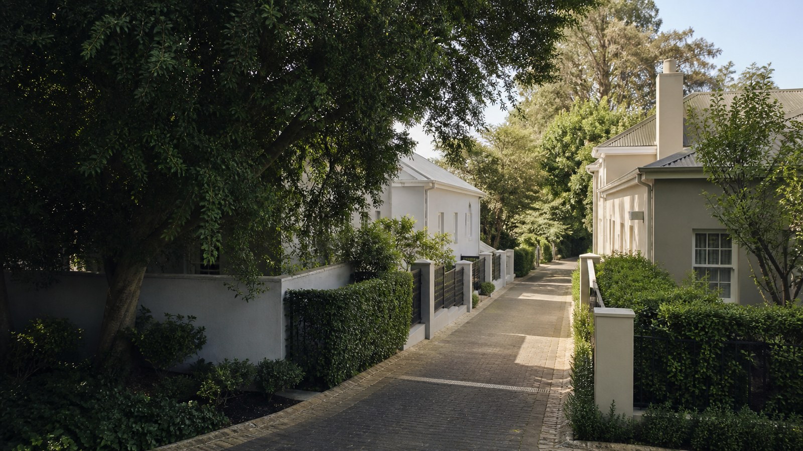 A shared access lane between neighbouring landscaped properties.