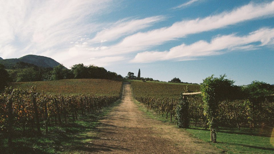 A vineyard road used as general agricultural-property context.